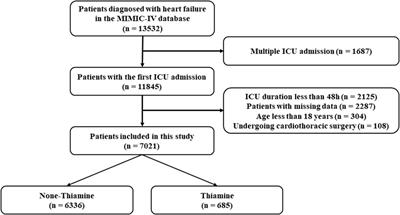 Association of thiamine administration and prognosis in critically ill patients with heart failure